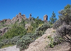 Roque Nublo